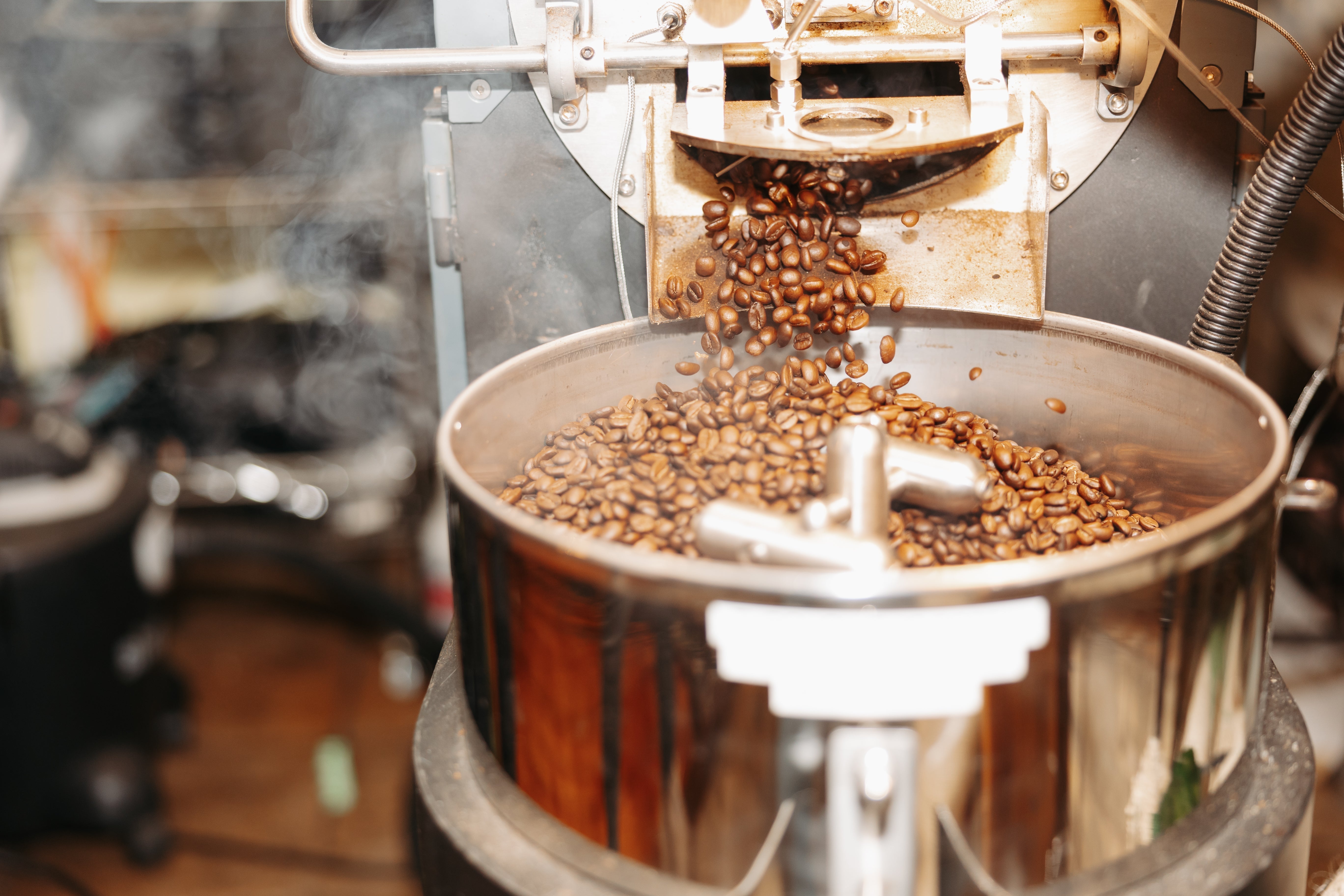 Freshly roasted coffee falls out of a roaster, with steam rising from the beans