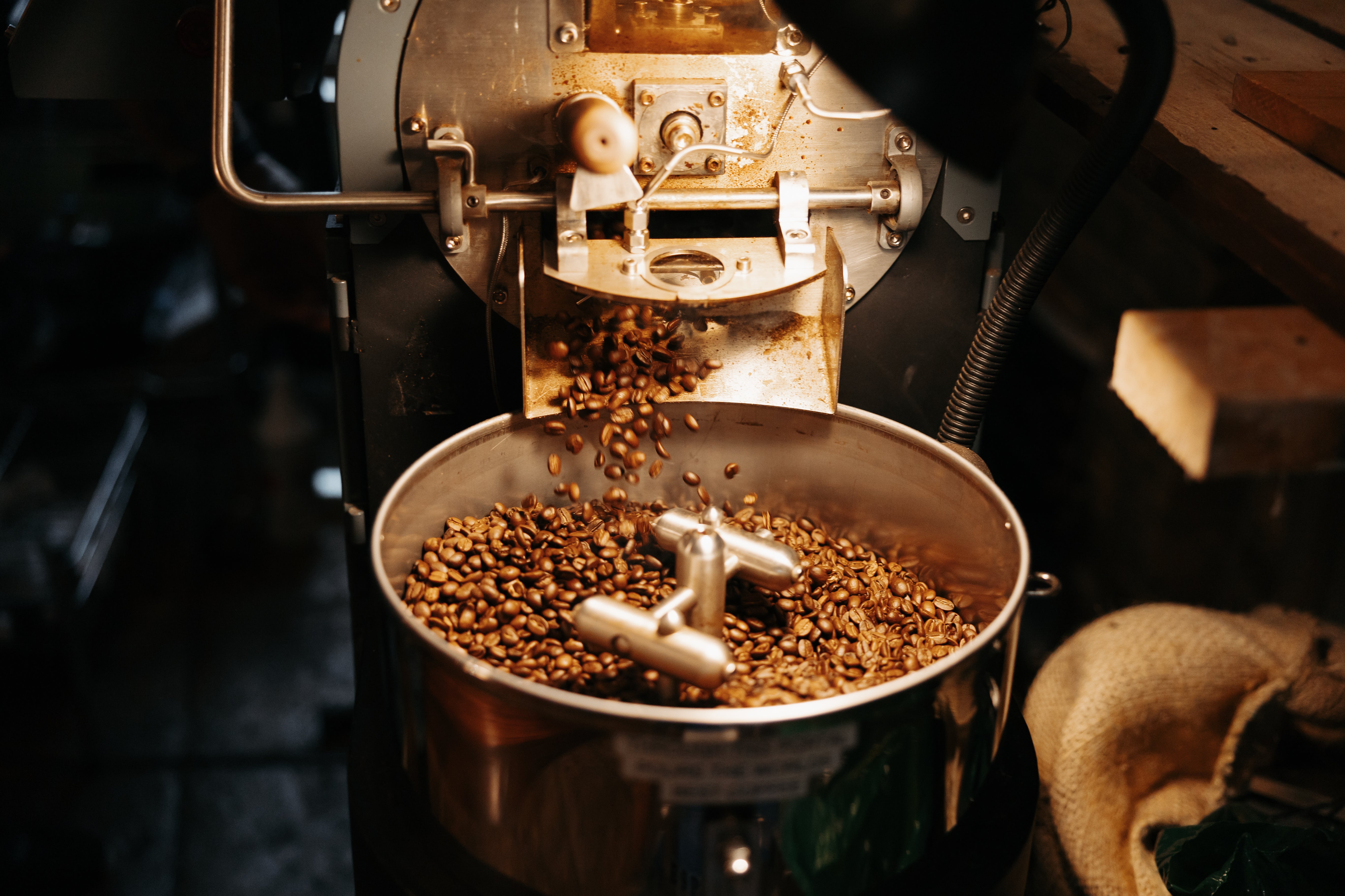 Newly roasted coffee beans
