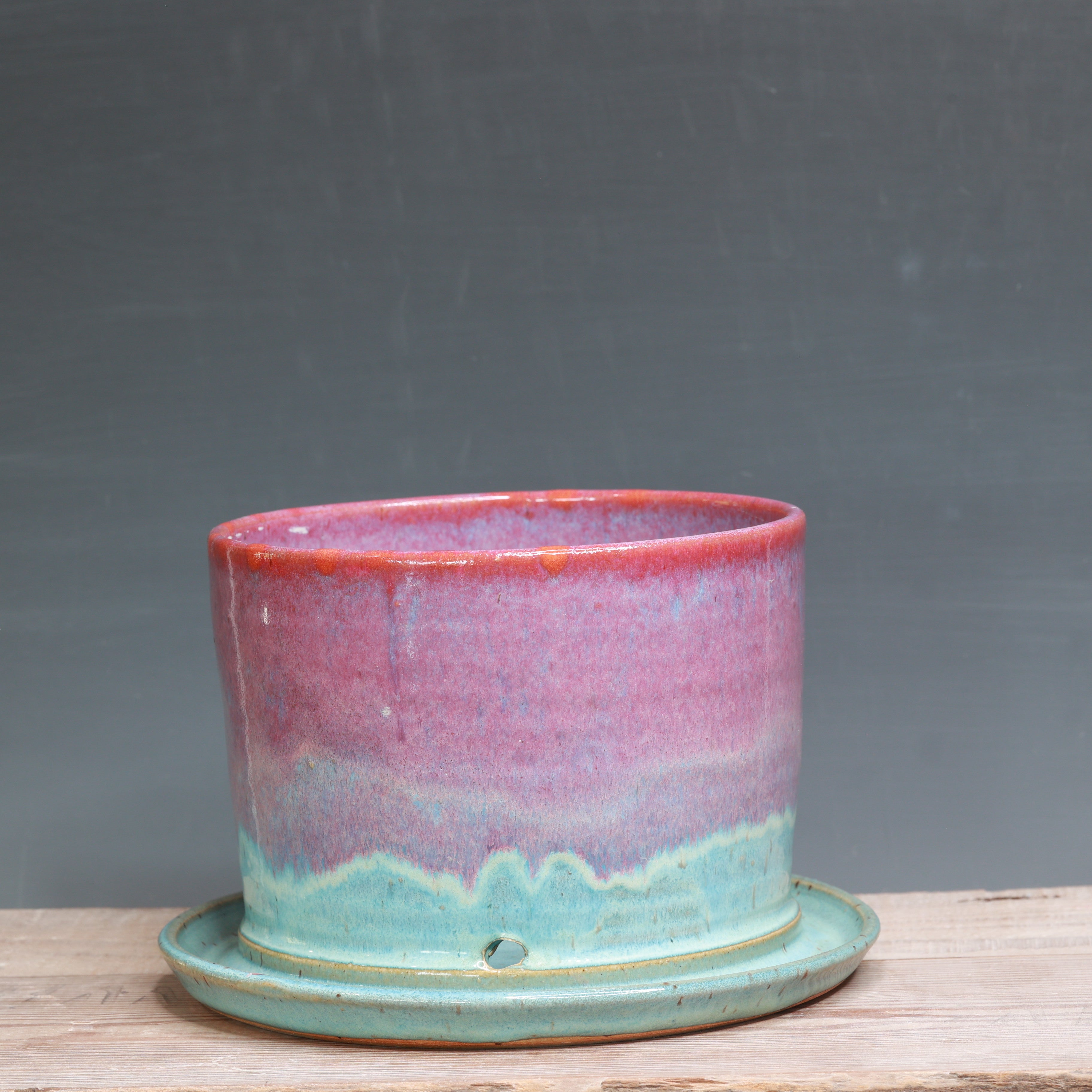 Raspberry Mist and Norse Blue Planter