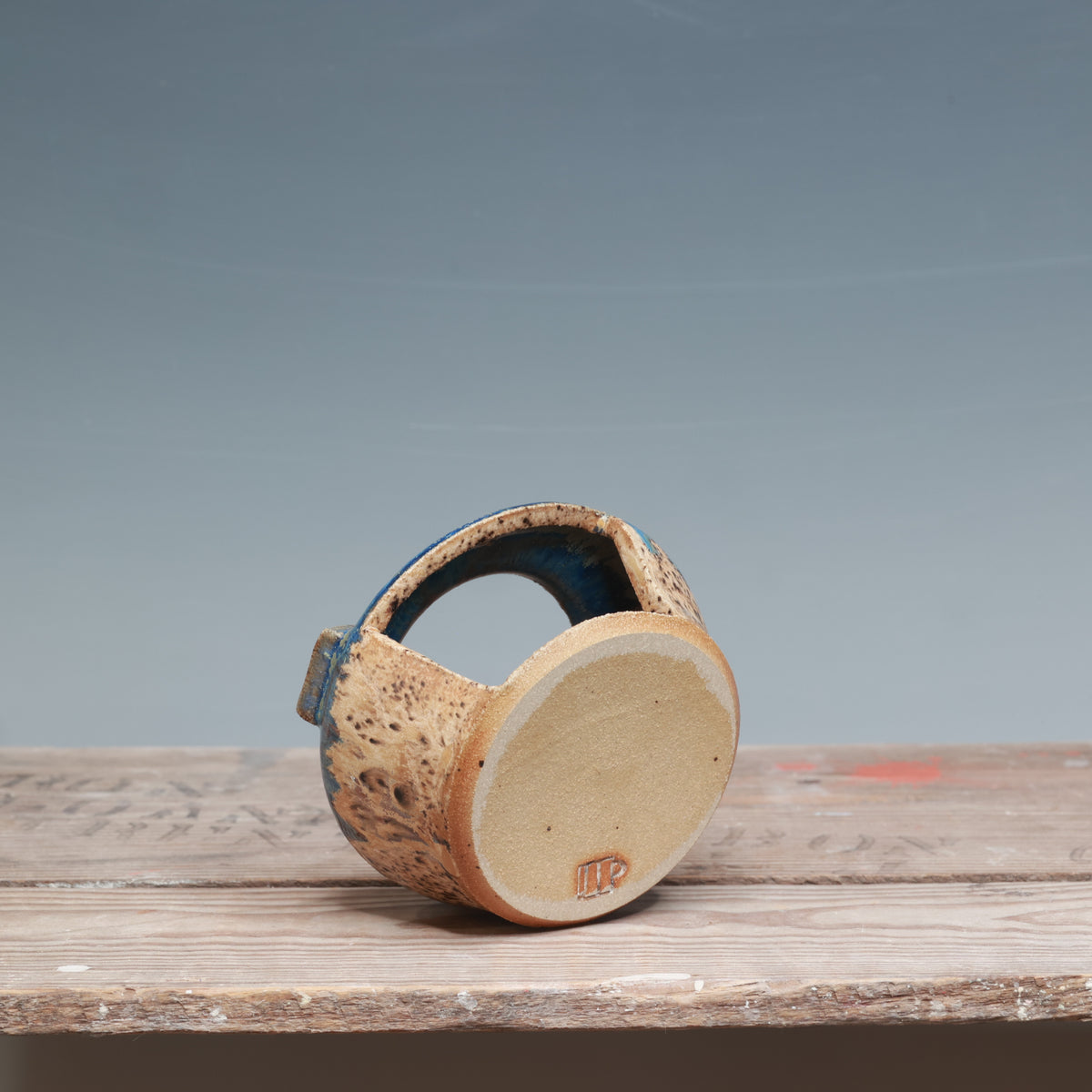 Winter Wood and Blue Surf Mug Warmer