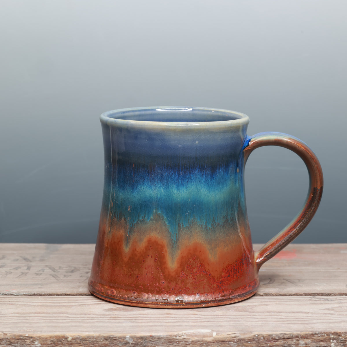 Sapphire Desert You Got This Mug 16 oz.