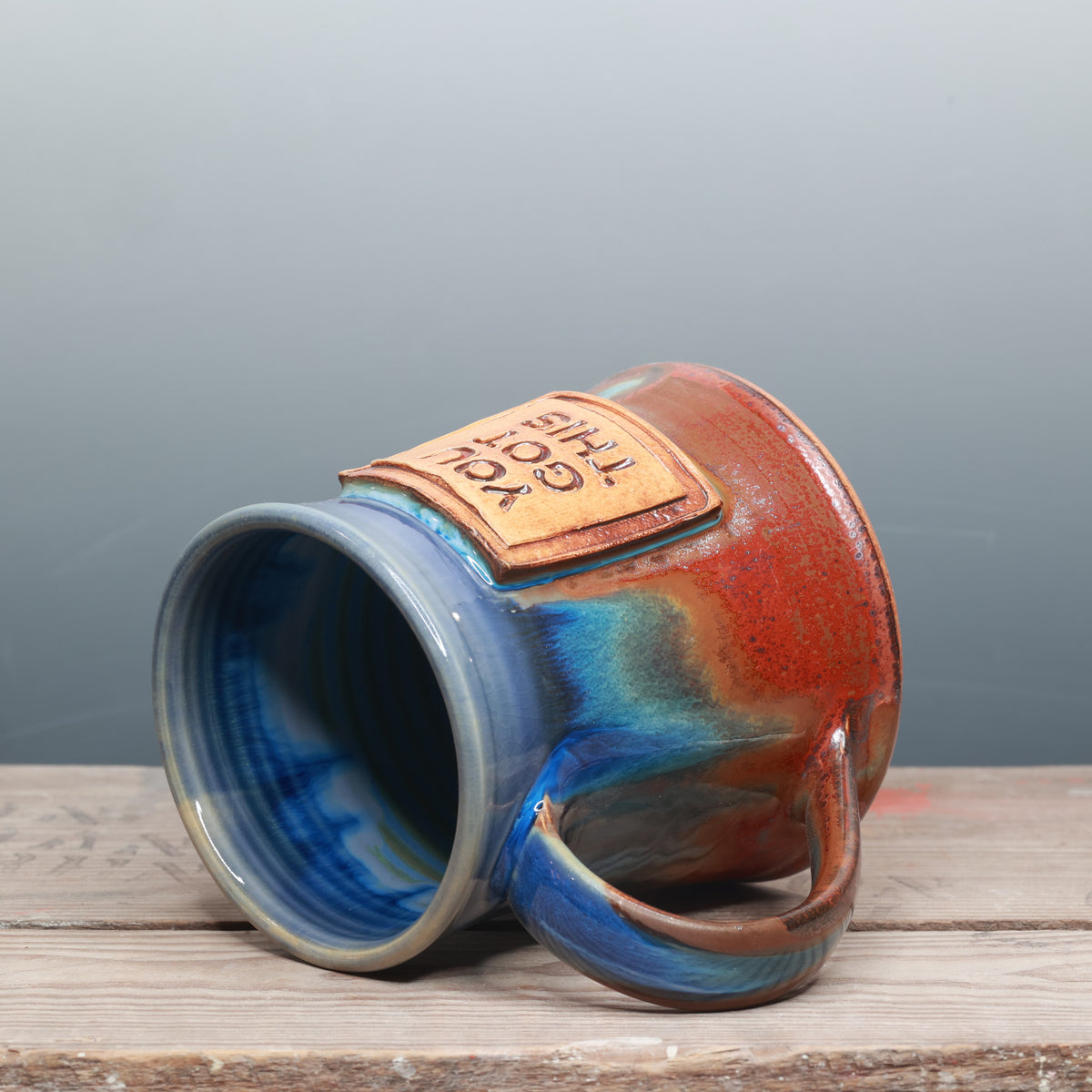 Sapphire Desert You Got This Mug 16 oz.