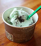 A small cup of mint chip ice cream