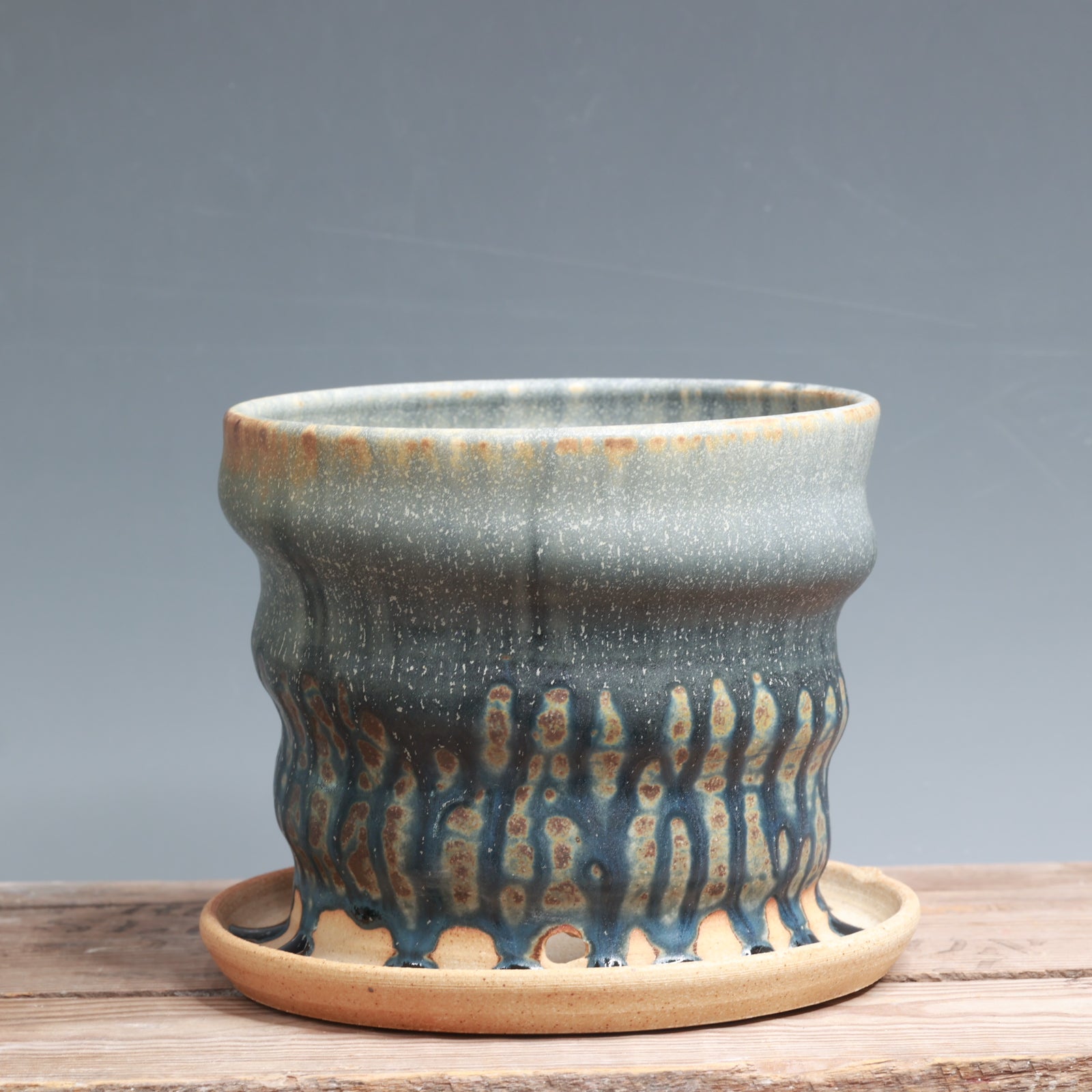 Blue Ash Planter - 6.5 x 5 in.