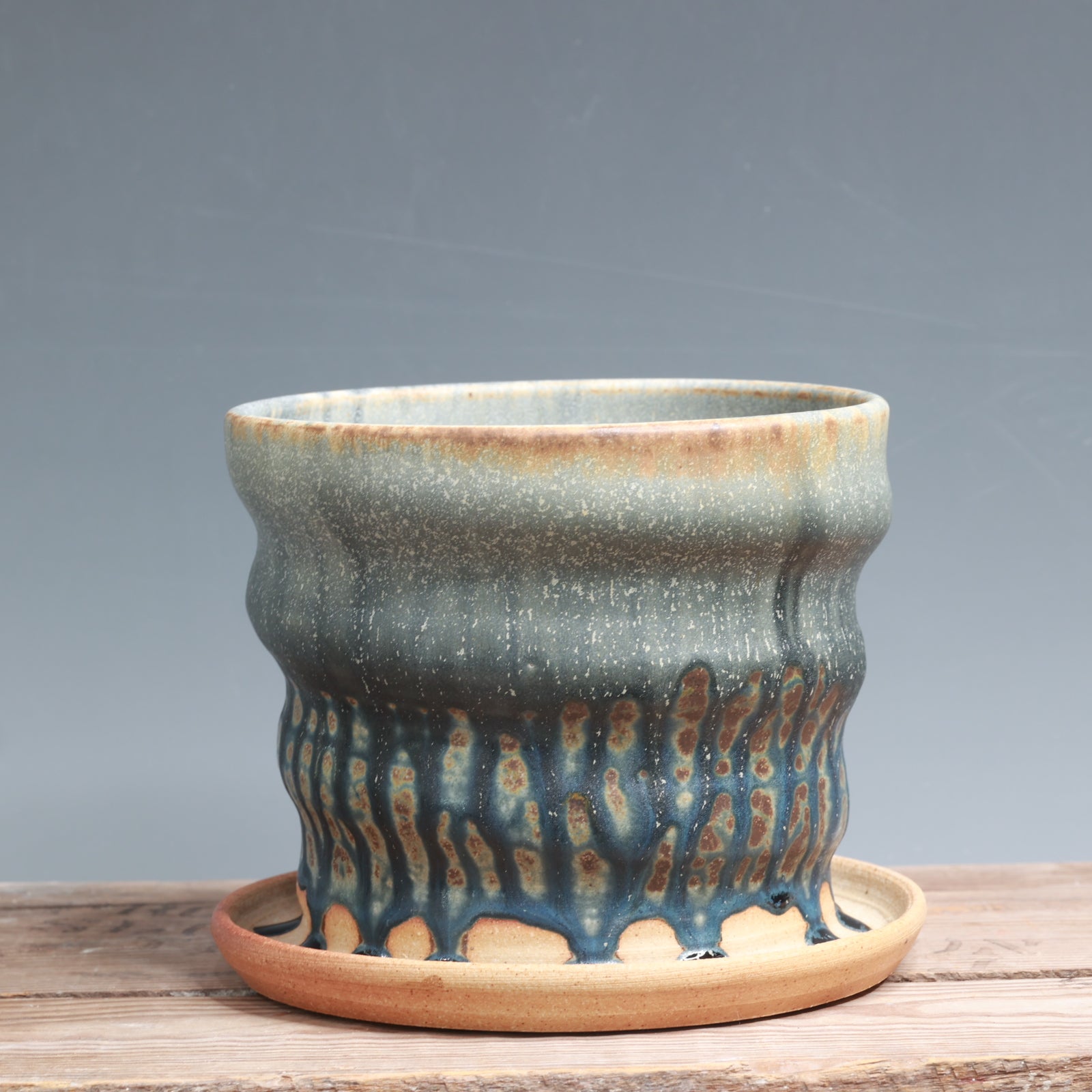 Blue Ash Planter - 6.5 x 5 in.