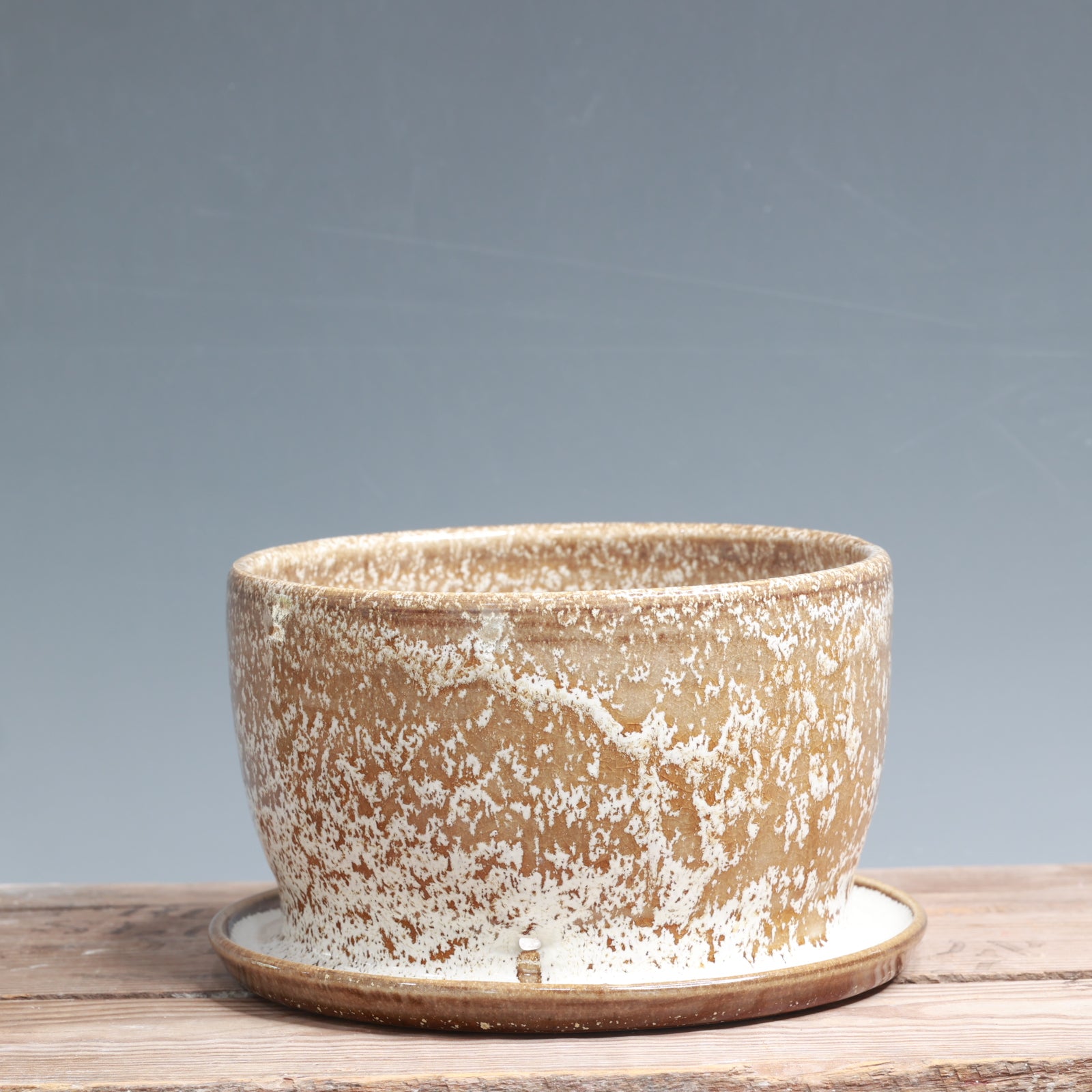 Alabaster and White Gloss Planter - 6 x 4 in.