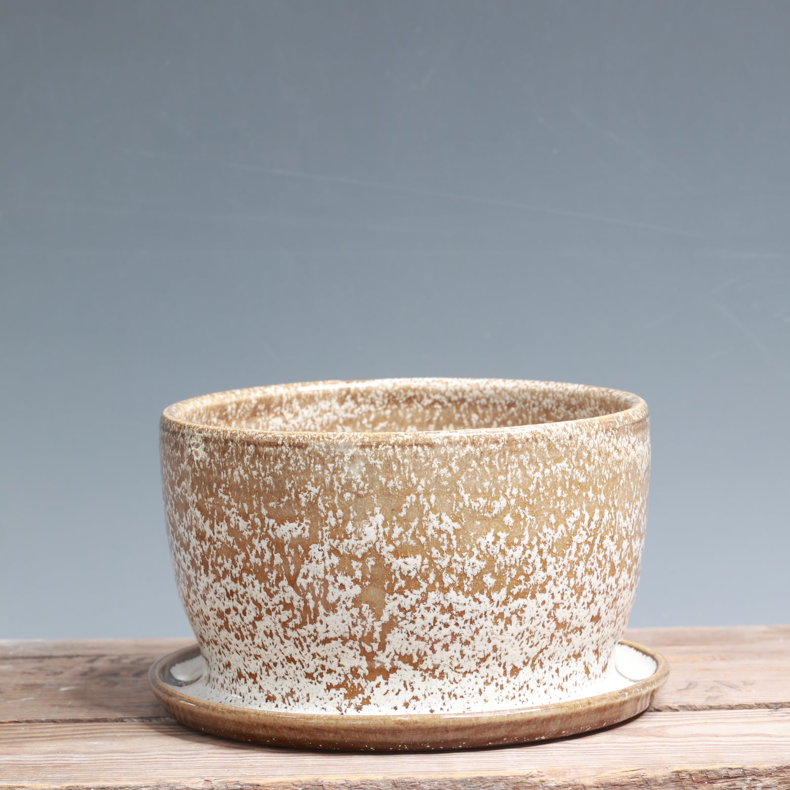 Alabaster and White Gloss Planter - 6 x 4 in.