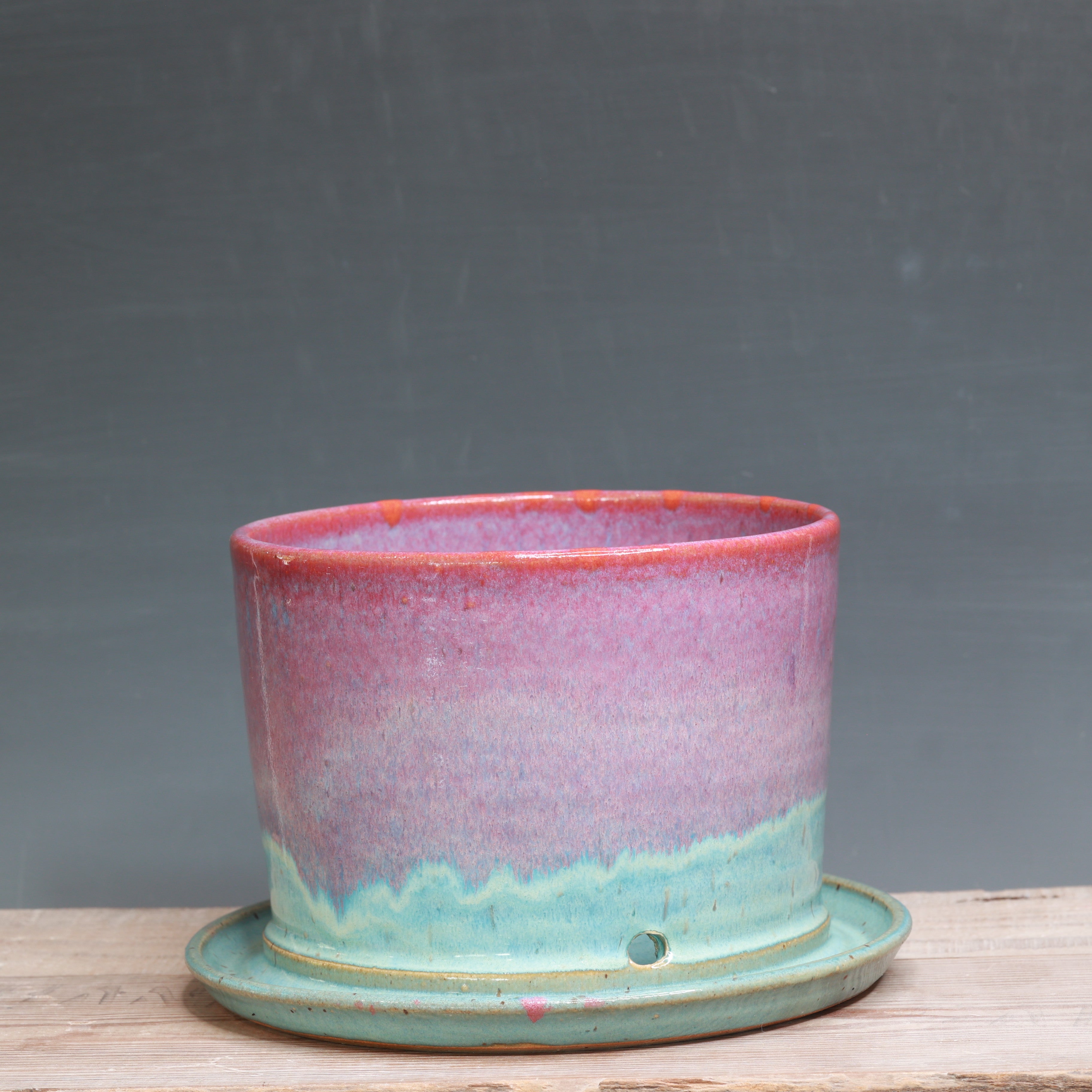 Raspberry Mist and Norse Blue Planter