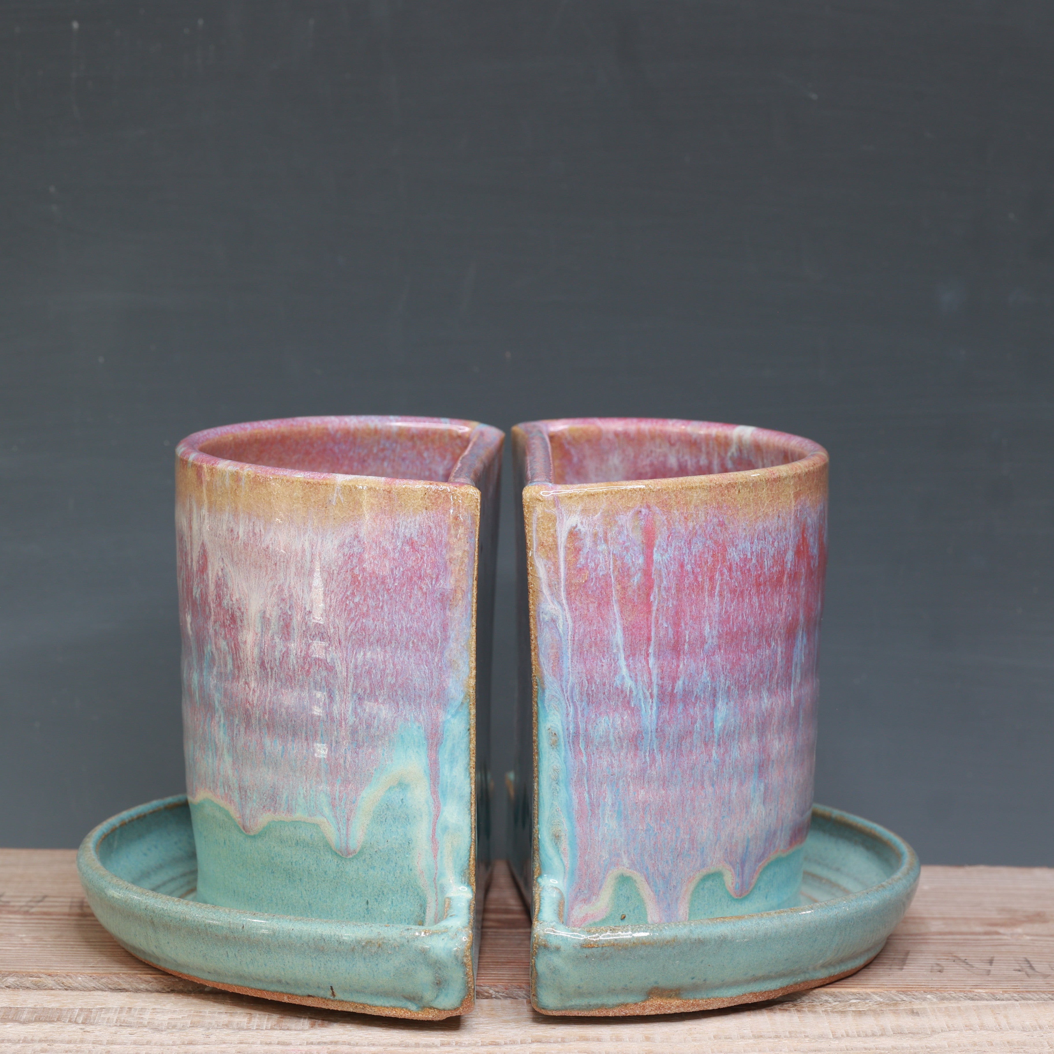 Raspberry Mist and Norse Blue Bookend Planters