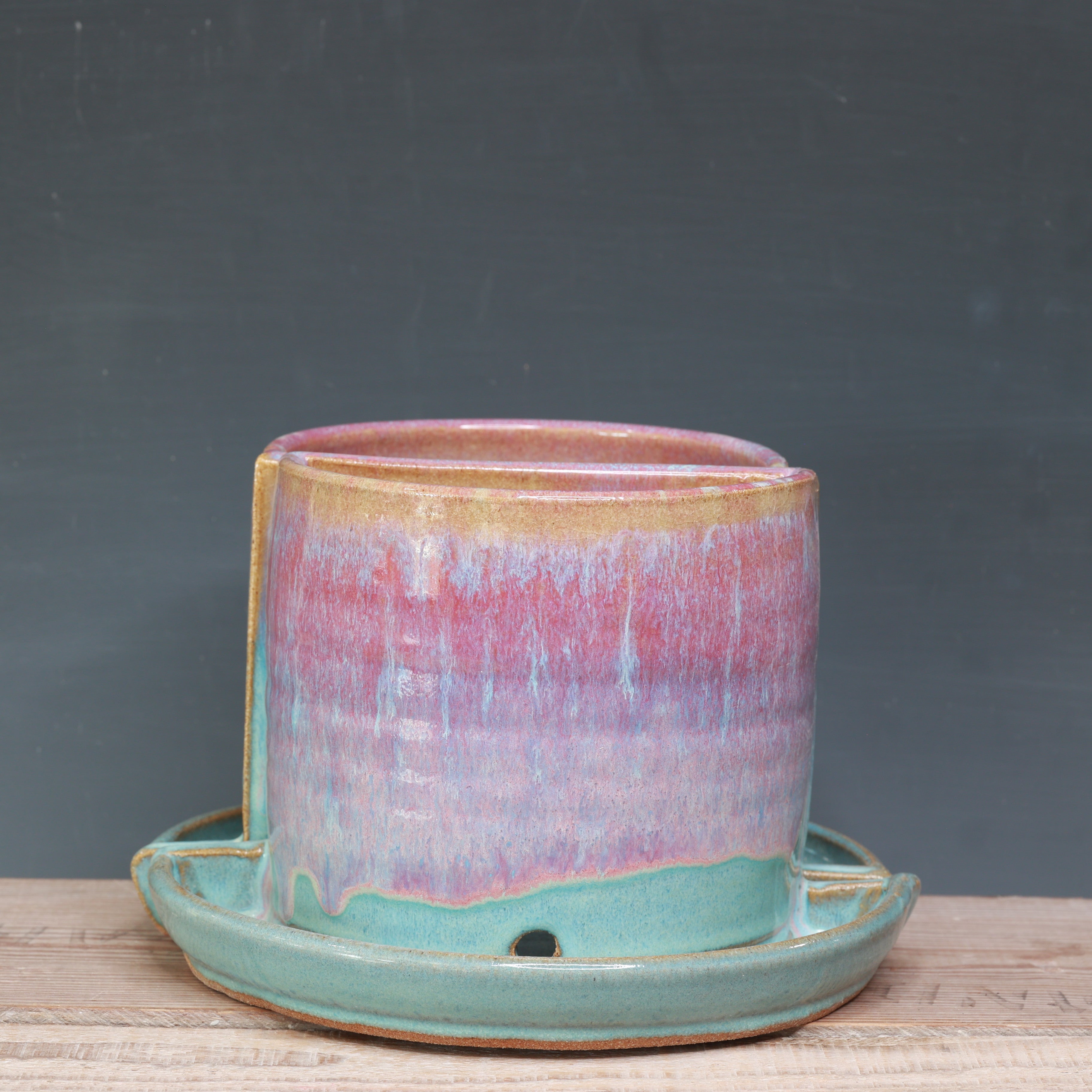 Raspberry Mist and Norse Blue Bookend Planters