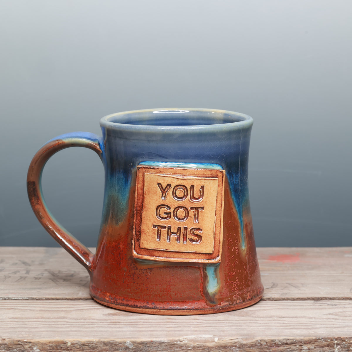 Sapphire Desert You Got This Mug 16 oz.
