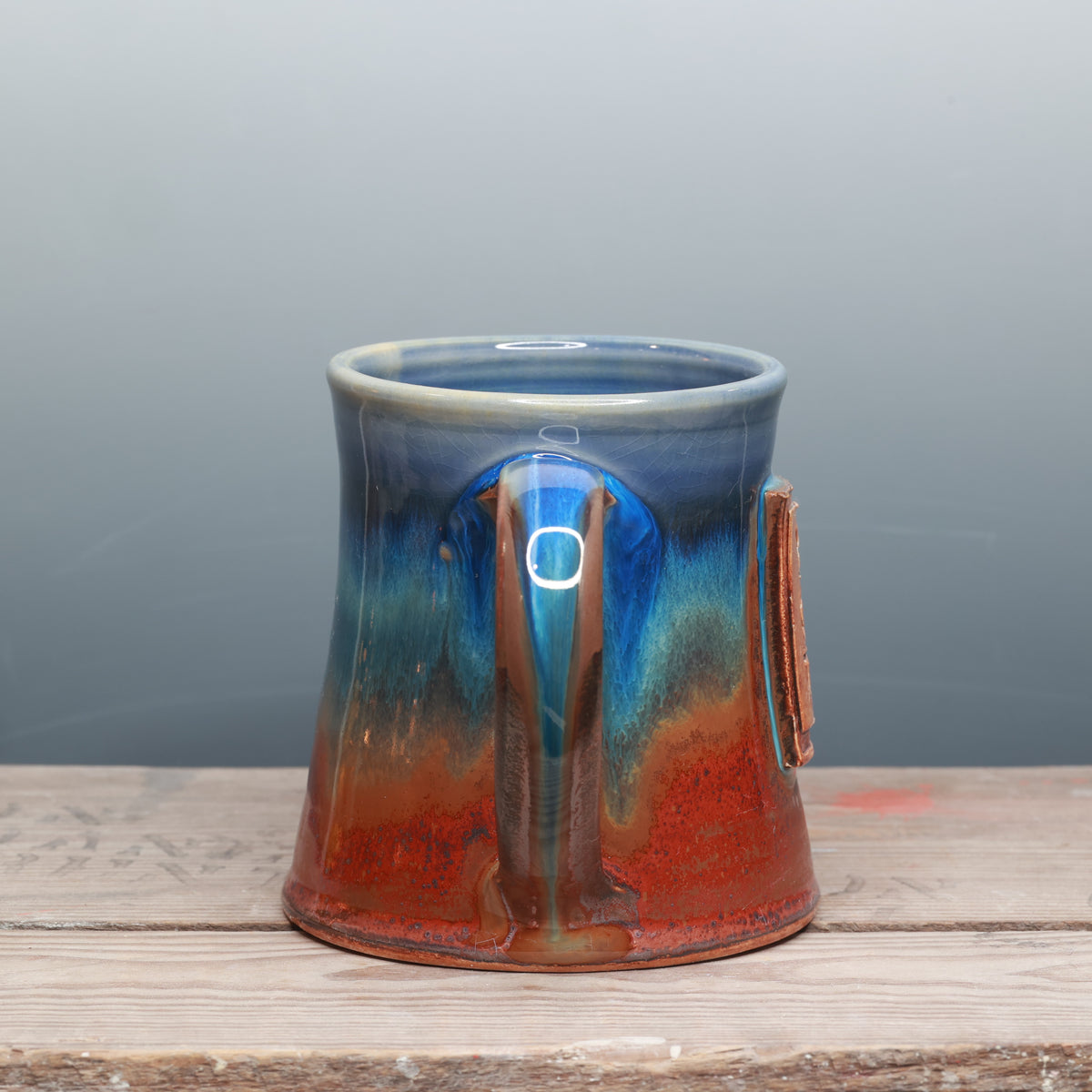 Sapphire Desert You Got This Mug 16 oz.